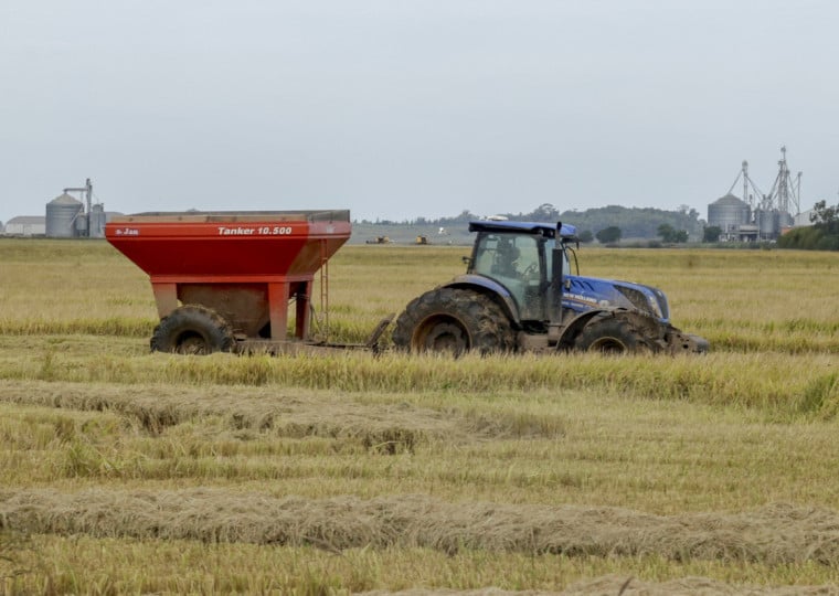 Redu&ccedil;&atilde;o na &aacute;rea plantada de arroz, em virtude dos pre&ccedil;os baixos do cereal, derrubou desempenho da agropecu&aacute;ria no RS