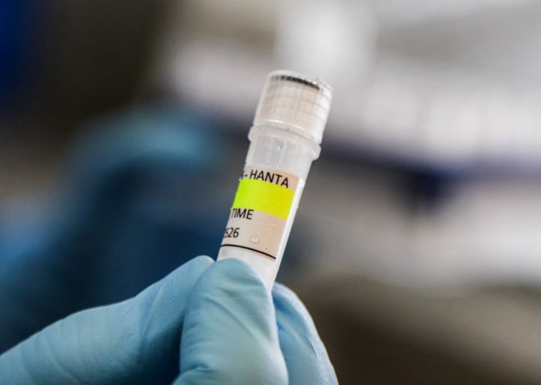 OMS noticiou um surto de infec&ccedil;&otilde;es por hantav&iacute;rus em um navio de cruzeiro que partiu da Argentina