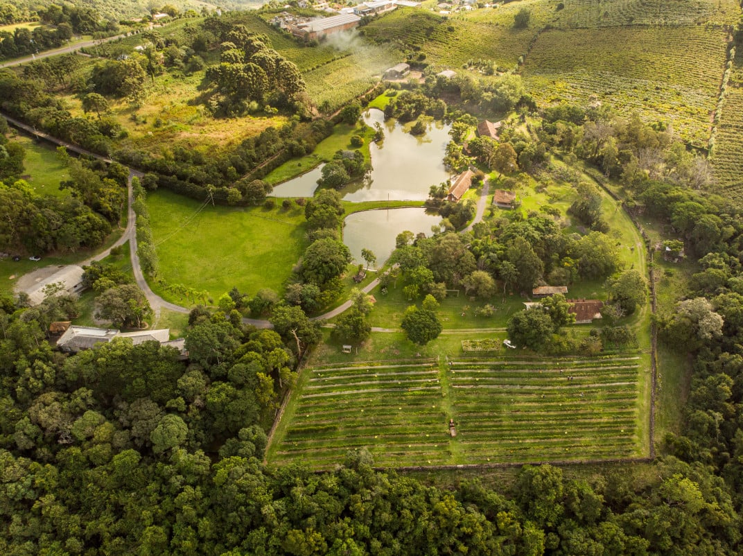 Parque tem&aacute;tico tem oito hectares e est&aacute; situado a 600 metros de altitude | Vin&iacute;cola Dal Pizzol/DIVULGA&Ccedil;&Atilde;O/CIDADES