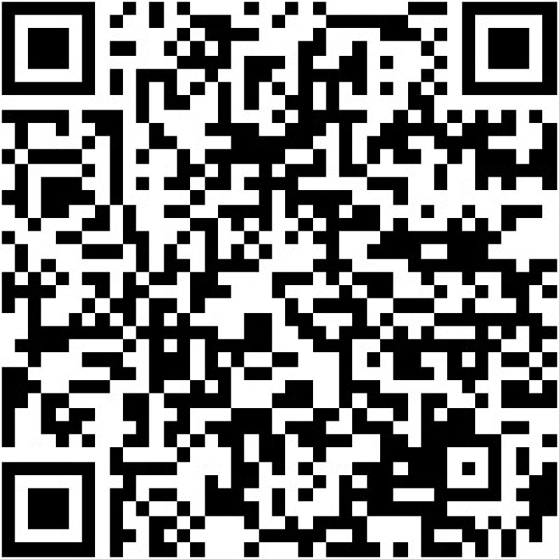 QR CODE PAST&Eacute;IS<br />Foto: ARTE/JC