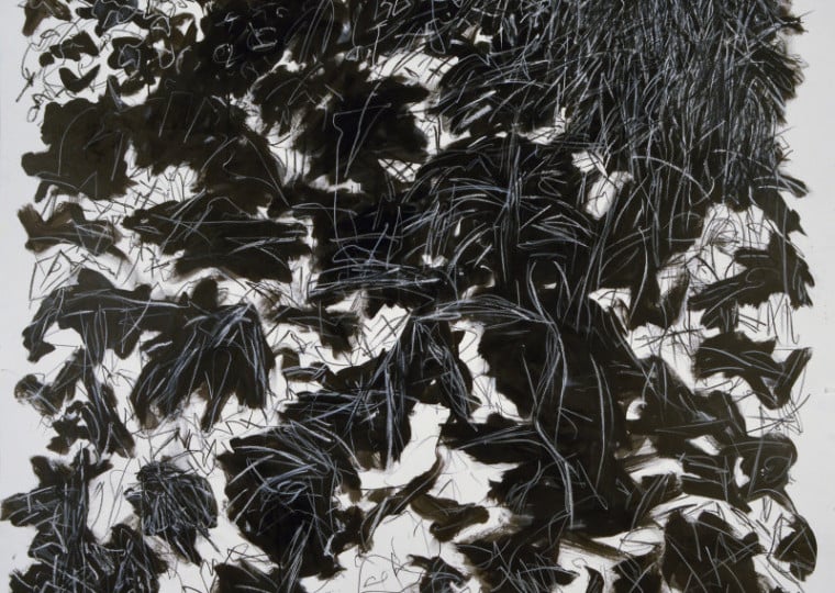 Mostra "A natureza do gesto' reúne obras que investigam o desenho da artista como fruto de uma pesquisa em movimento,  podendo ser visitada até o dia 20 de junho