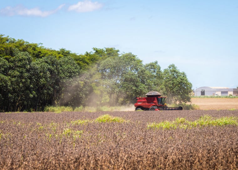 Maiores incrementos ocorreram na cultura da soja, que incorporou 1,3 milhão de hectares (2,7%)