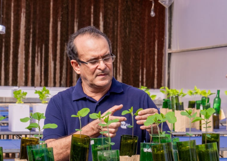 Pesquisador Marco Antonio Nogueira, da Embrapa Soja, diz que o Brasil deixou de gastar mais de US$ 25 bilhões com fertilizantes nitrogenados no último ano