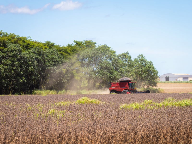 Conab eleva previsão da safra 2025/26 para 361,7 milhões de toneladas