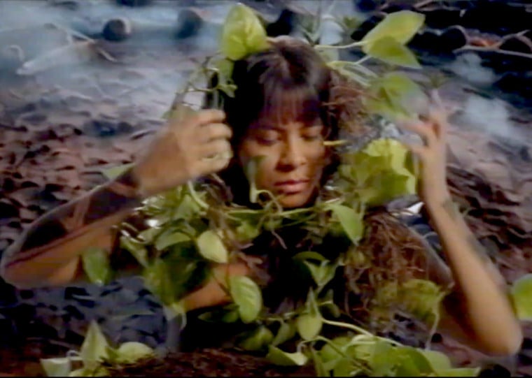 Festival acontece de 25 de junho a 5 de julho gratuitamente; Primeira triologia da história da mostra, Triologia das Plantas (foto) é um dos destaques da edição