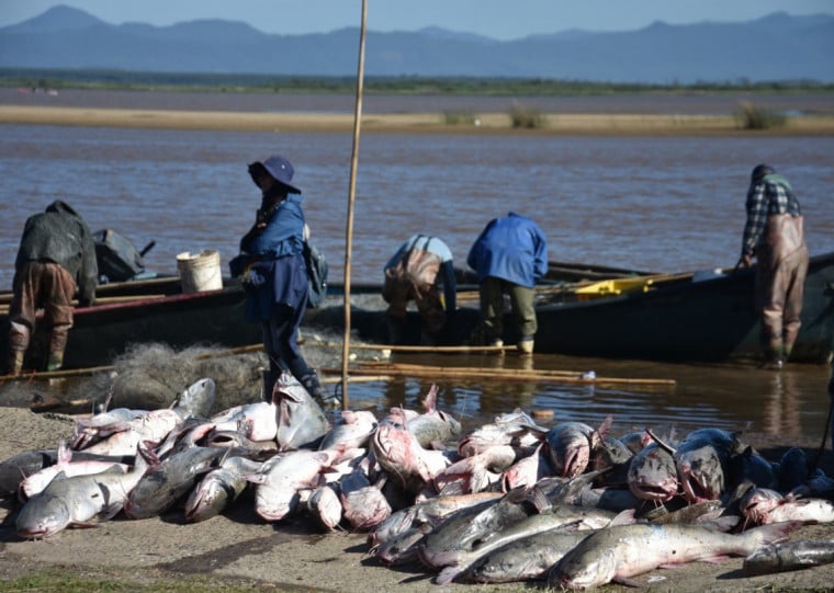 Medida só é válida para pescadores inscritos no Projeto de Automonitoramento