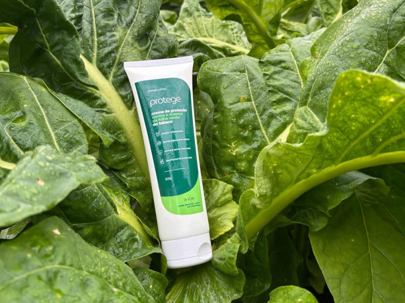 A patente do creme protetor contra a doen&ccedil;a da folha verde do tabaco &eacute; a primeira no mundo<br />Foto: Protege Qu&iacute;mica/Divulga&ccedil;&atilde;o/JC