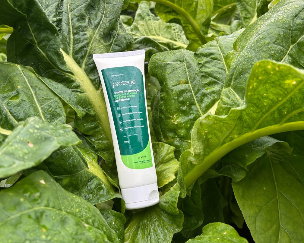 A patente do creme protetor contra a doen&ccedil;a da folha verde do tabaco &eacute; a primeira no mundo | Protege Qu&iacute;mica/Divulga&ccedil;&atilde;o/JC