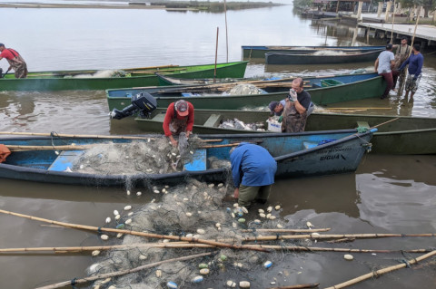 Impasse no processamento do pescado é problema em todo o RS