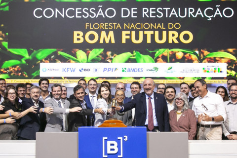 Brasil traz inovação à geração de créditos de carbono em projeto de reflorestamento