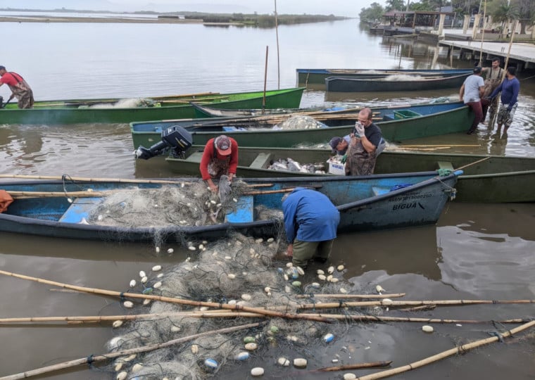 Particularidades do setor impacta a sobreviv&ecirc;ncia dos pescadores