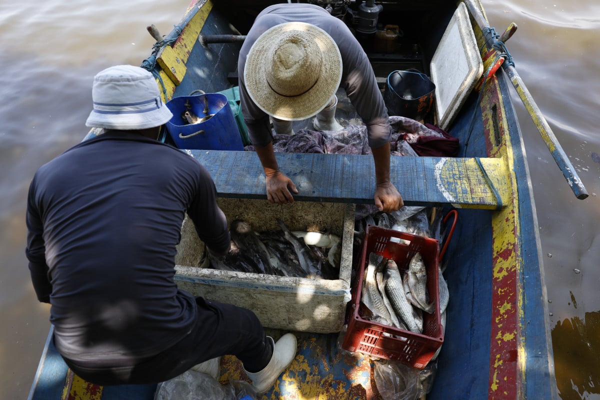 Pescadores podem vender apenas o peixe inteiro, resfriado, sem qualquer tipo de beneficiamento | Fernando Frazão/Agência Brasil