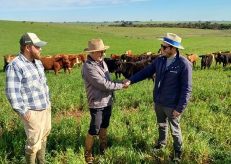 Agricultura familiar gera empregos e conserva tradições no RS