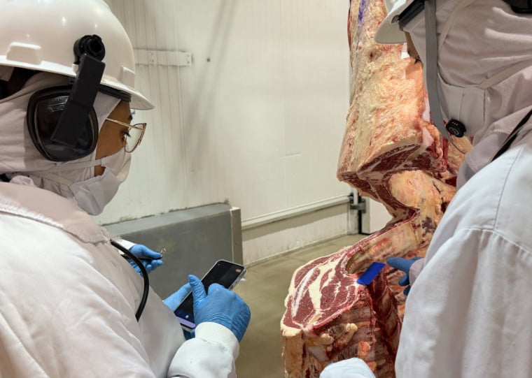 Frigorífico atua com sistema de controle e análise de cada animal