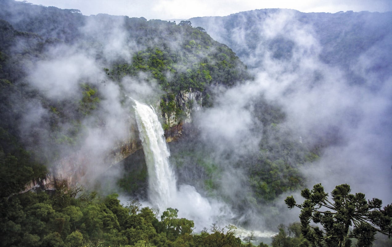 As folhas de inverno refor&ccedil;am o charme das paisagens de Gramado | GOVERNO DO ESTADO/ DIVULGA&Ccedil;&Atilde;O/ JC