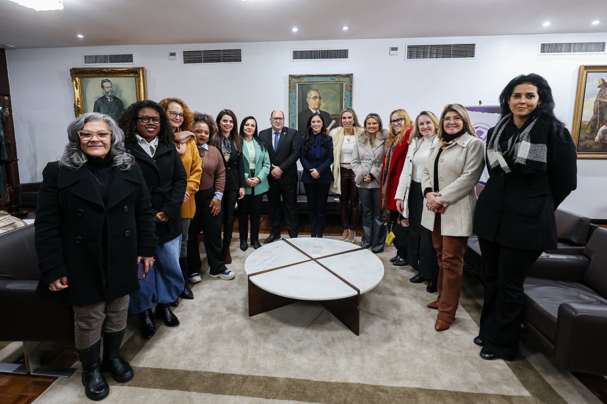 Assembleia Legislativa empossa Comissão Especial de Combate ao Feminicídio no RS
