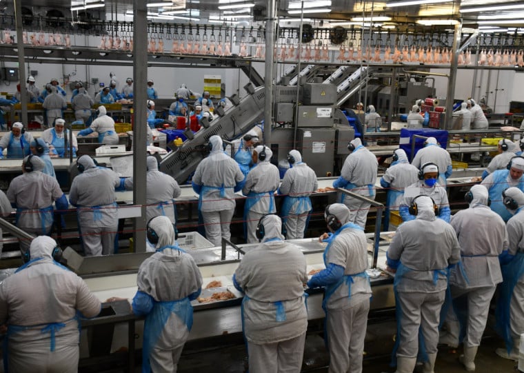 Cooperativa aponta melhora dos indicadores operacionais, com faturamento mensal de R$ 50 milhões