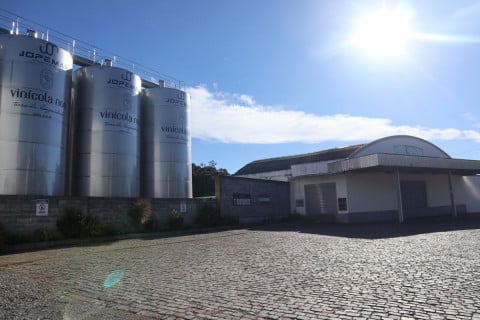 Cooperativa vinícola de Veranópolis amplia produção e projeta investimentos