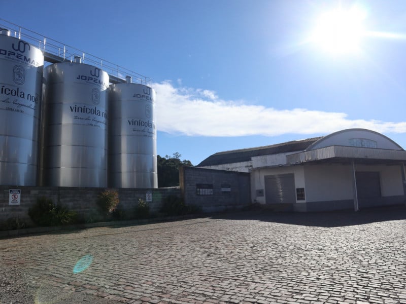 Cooperativa vinícola de Veranópolis amplia produção e projeta investimentos