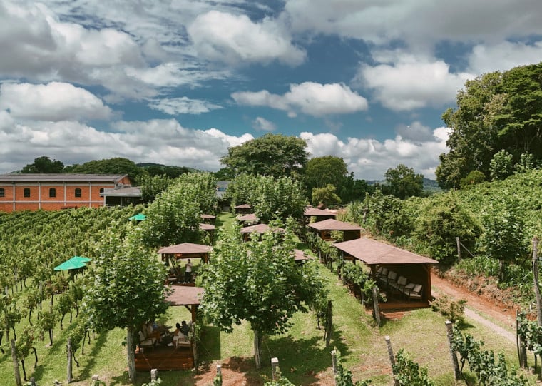 Área onde ficam os parreirais da Vinícola Larentis ganhou 18 bangalôs, que podem ser usados para receber piqueniques