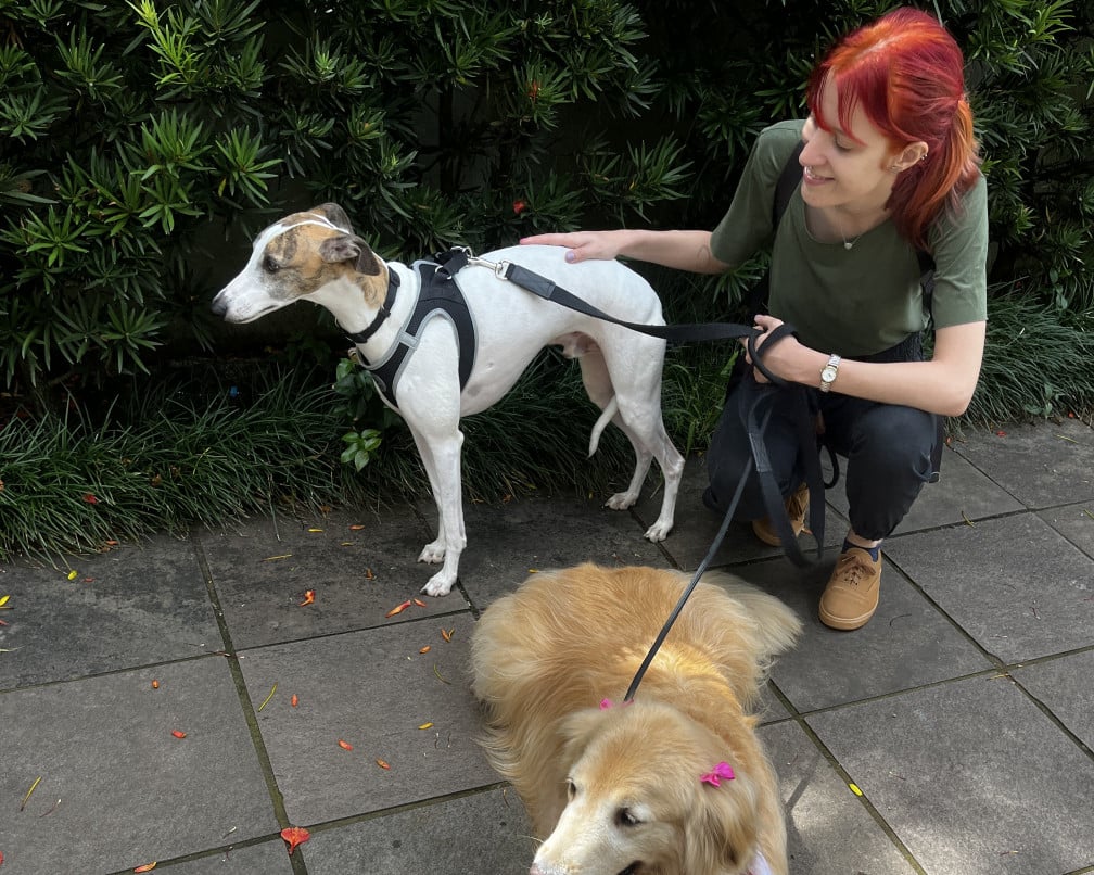 Os passeios s&atilde;o acompanhados com compartilhamento de localiza&ccedil;&atilde;o em tempo real por GPS, existindo o n&uacute;mero m&aacute;ximo de tr&ecirc;s c&atilde;es por passeador. | Cusko Passeadores de C&atilde;es