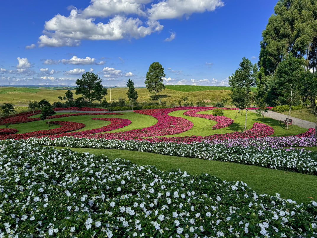 Mátria Parque é considerado o maior parque de flores das Américas | TACYLA AMARAL/DIVULGAÇÃO/JC