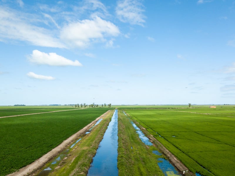 Arroz movimenta economia do Litoral Norte e Região Metropolitana de Porto Alegre