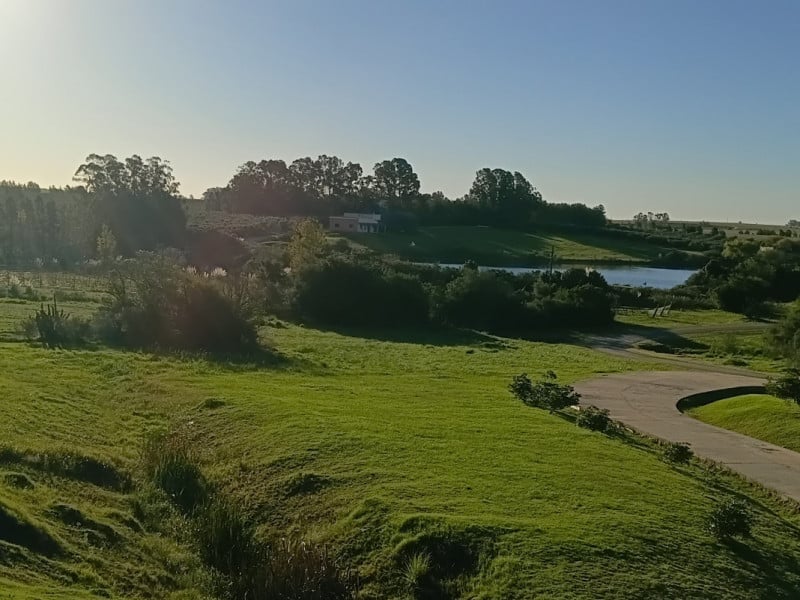 Colônia fortalece laços com o Rio Grande do Sul