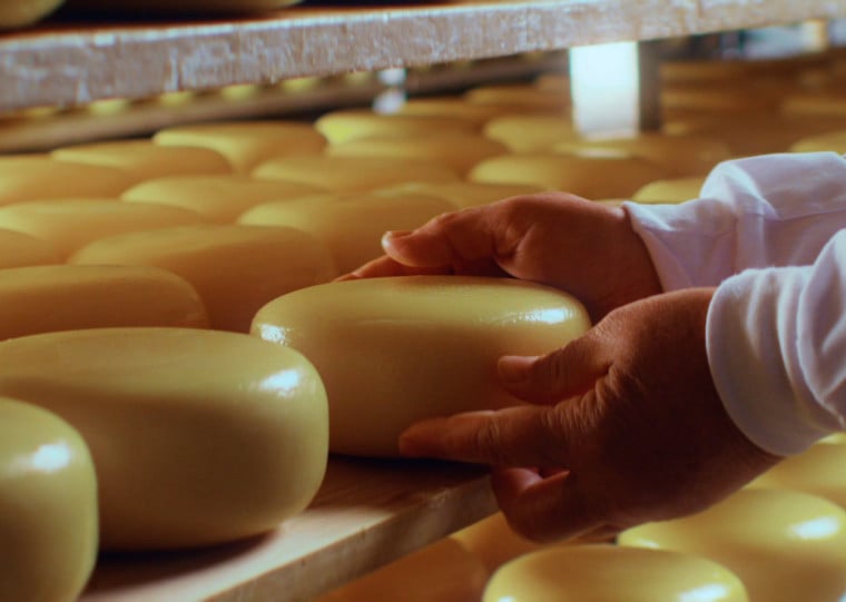 Mais antiga cooperativa de laticínios em atividade no Brasil aposta em novos produtos de maior valor agregado