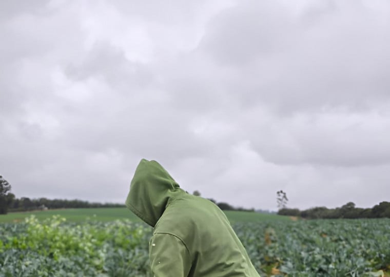 Indígenas foram resgatados em condições análogas à escravidão em uma propriedade rural no interior de Glorinha, na Região Metropolitana 
