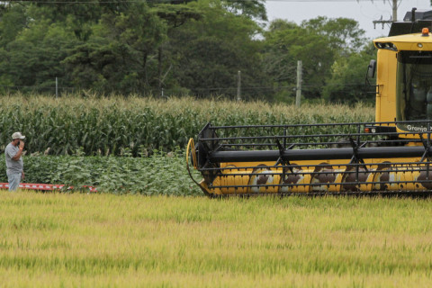 Farsul intensifica tratativas com governo federal diante da falta de diesel no RS