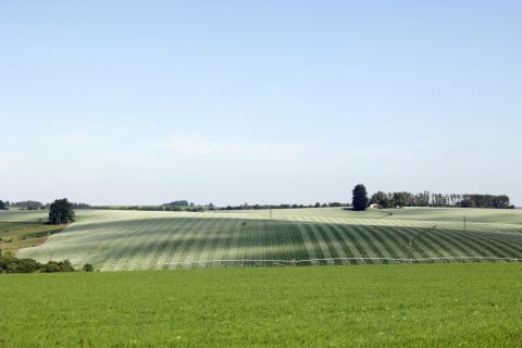 Eventos climáticos extremos comprometem produtividade e ampliam gargalos do agronegócio gaúcho