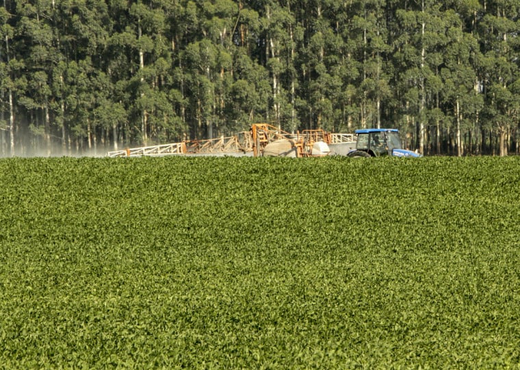 Fenômeno ameaça a produção brasileira de grãos na safra 2026/27