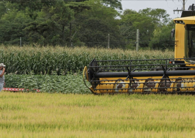 Al&eacute;m do agro, o aumento tamb&eacute;m foi puxado pelo transporte, log&iacute;stica e varejo