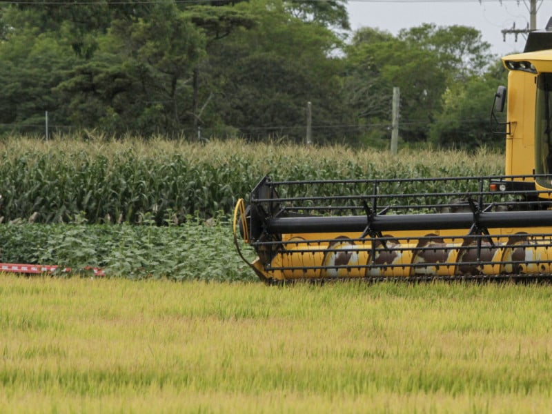 Farsul intensifica tratativas com governo federal <br>diante da falta de diesel no RS