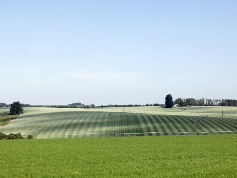 Eventos climáticos extremos comprometem produtividade e ampliam gargalos do agronegócio gaúcho