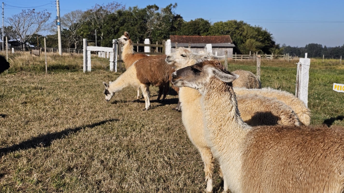 A proposta &eacute; que os visitantes desacelerem a rotina e aproveitem o ambiente cercado por &aacute;reas verdes e uma lagoa | NATHAN LEMOS/JC