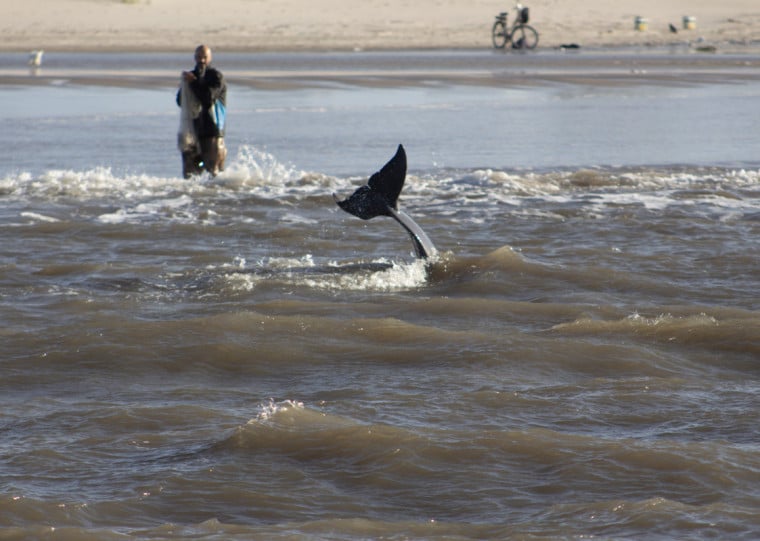 Cidades - Pesca com Botos_Tramandaí_Geral_Pedro Barbosa