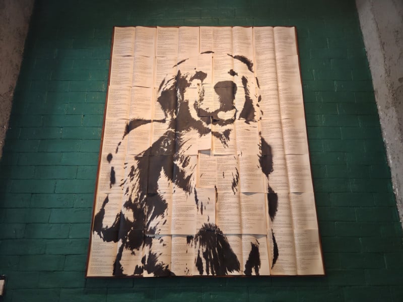 Para concretizar o conceito afetivo do restaurante, o nome do estabelecimento &eacute; uma homenagem ao falecido pet da empreendedora, o cachorro Noah<br />Foto: Gustavo Marchant/Especial/JC