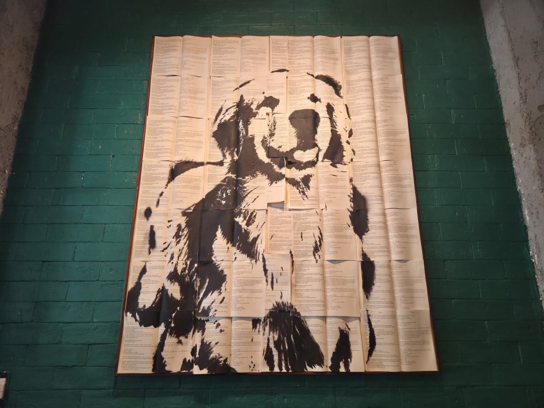 Para concretizar o conceito afetivo do restaurante, o nome do estabelecimento &eacute; uma homenagem ao falecido pet da empreendedora, o cachorro Noah | Gustavo Marchant/Especial/JC