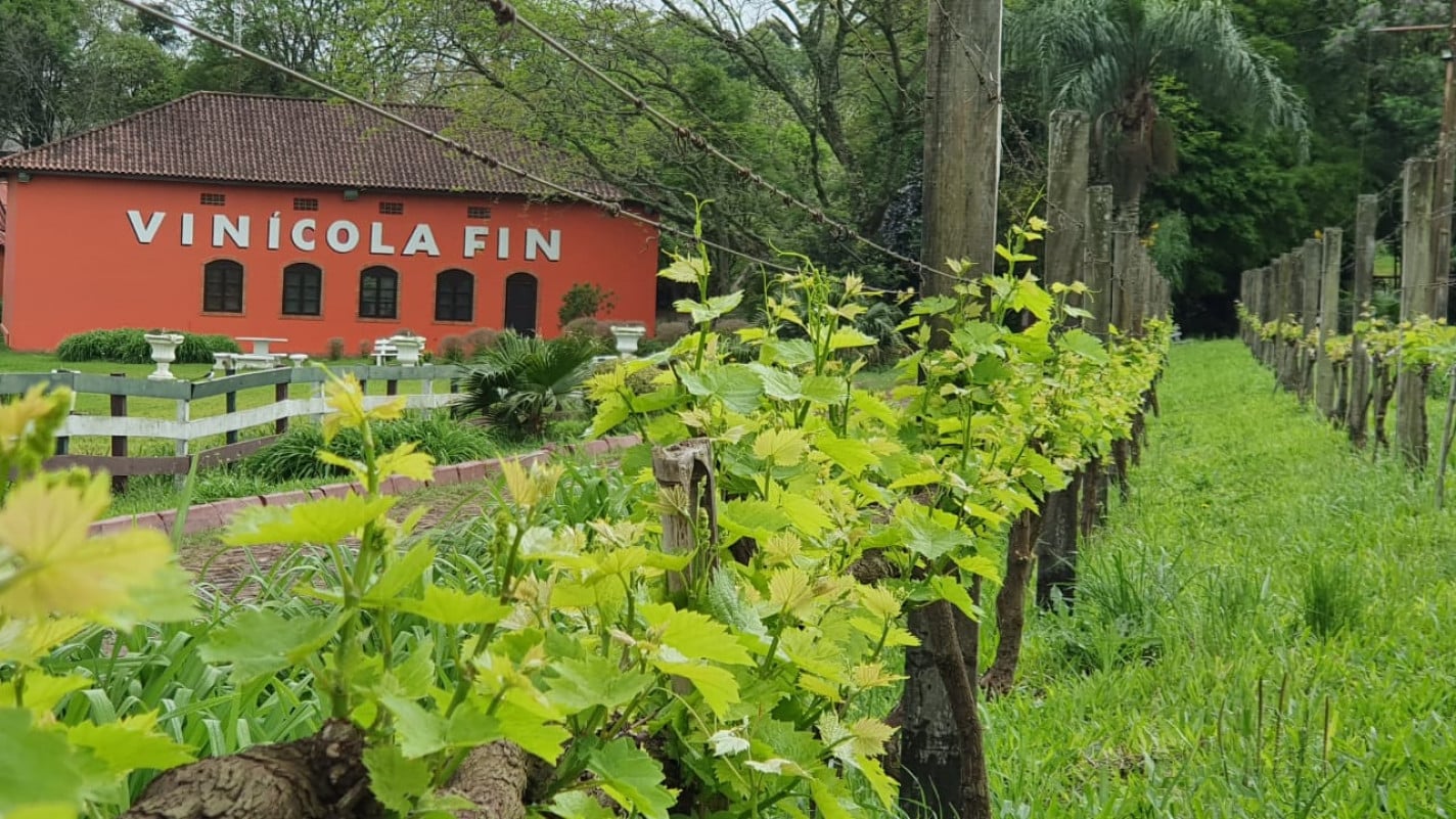Evento contar&aacute; com degusta&ccedil;&atilde;o de vinhos e espumantes durante 4 horas | Site Vin&iacute;cola Fin/Reprodu&ccedil;&atilde;o/Cidades
