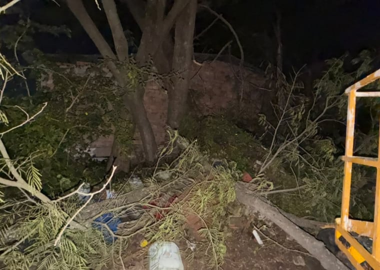 Município reportou queda de árvore que atingiu parte de uma residência ainda na quinta