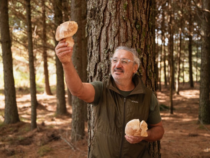 Caça aos cogumelos