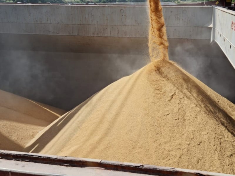 Arroz brasileiro busca manter exportações fortes em cenário adverso
