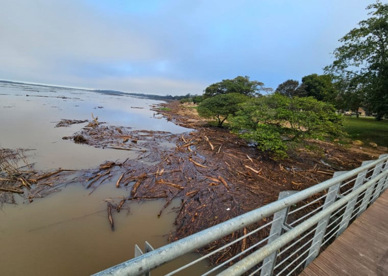 Galhos, troncos, lixos e outros resíduos se acumulam ao longo da orla do Guaíba