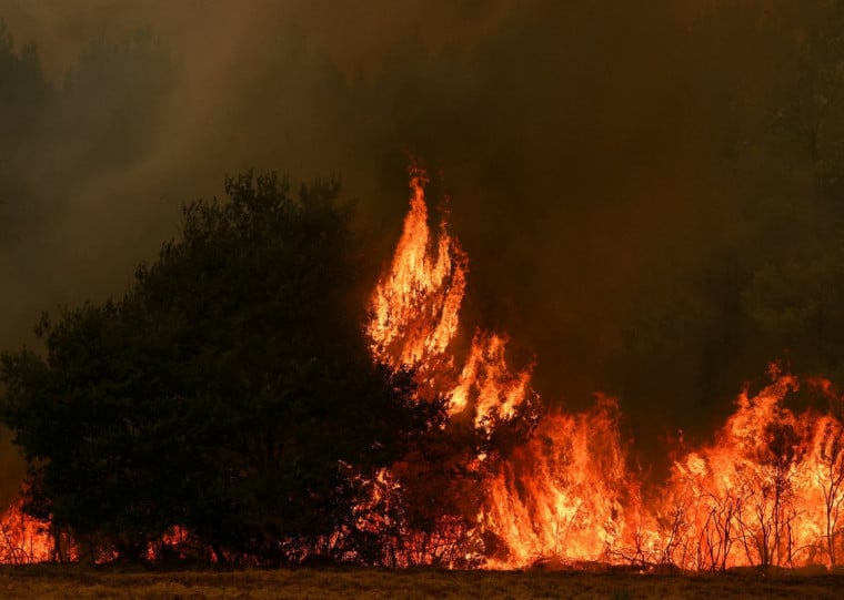 &Aacute;rea em chamas em Marcheprime, a menos de 30 km de Bordeaux, devido a um inc&ecirc;ndio florestal que assola a floresta de Landes de Gascogne