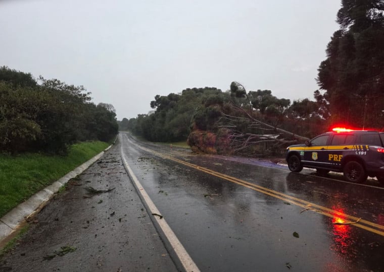 Houve quedas de galhos e árvores na região da Serra, na BR 116 e BR 470, e na BR 285, em Lagoa Vermelha
