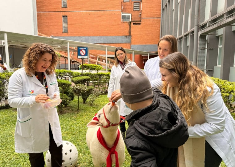 Mais de 700 pacientes internados no Hospital São Vicente de Paulo tiveram contato com animais desde o início do programa