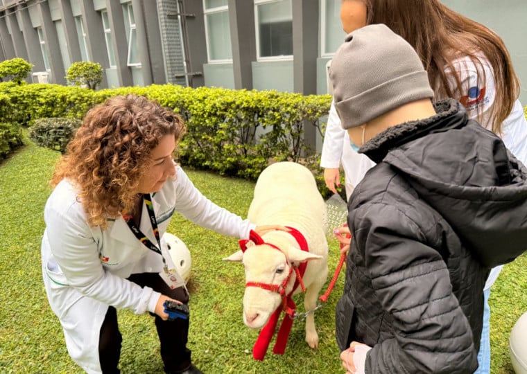 Programa recebeu visita especial da Ovelha Chanel para sess&otilde;es com pacientes da oncol&oacute;gia pedi&aacute;trica