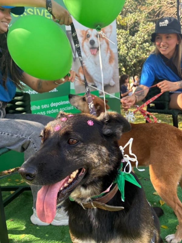 Evento voltado a animais de estimação movimenta o Parcão